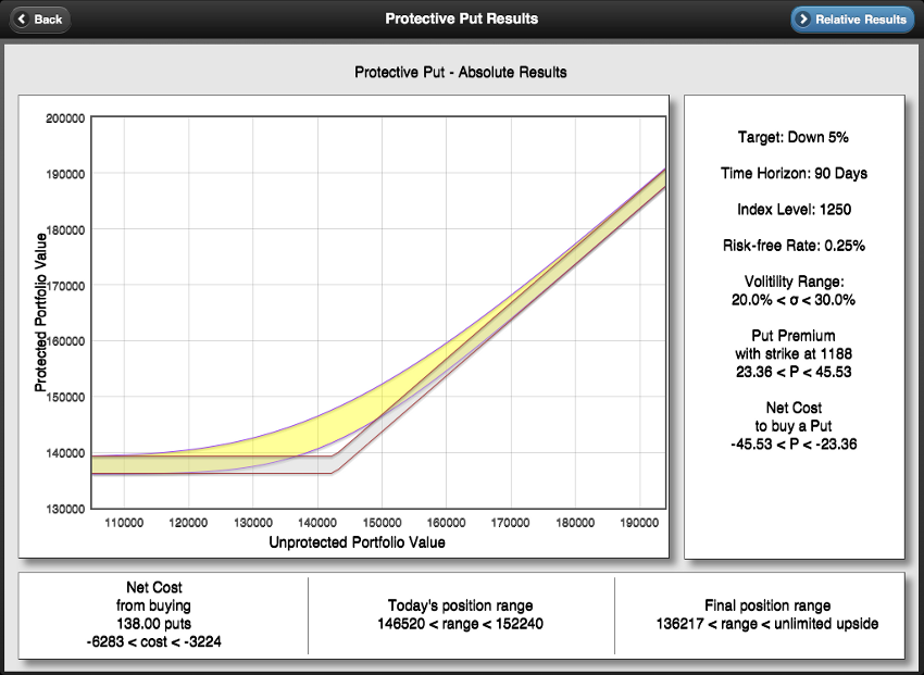 sample protective put results